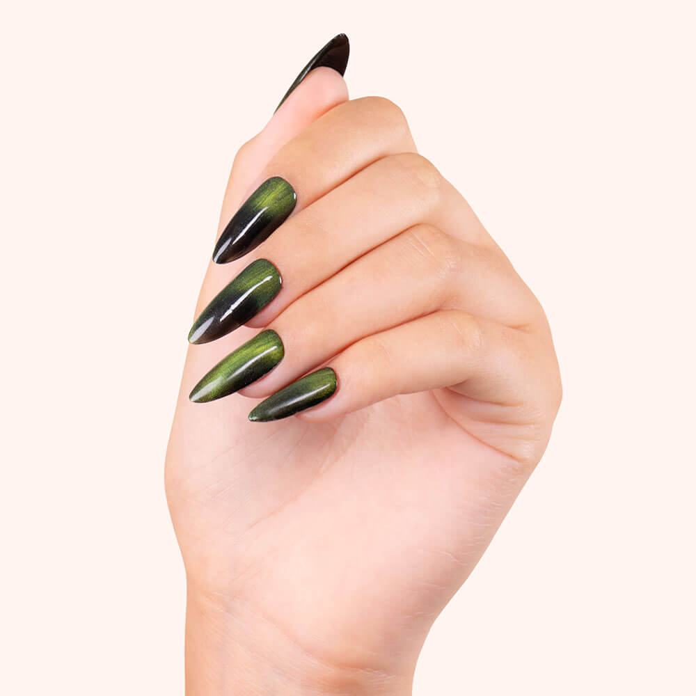 Smalto semipermanente Cat Eye Pisces