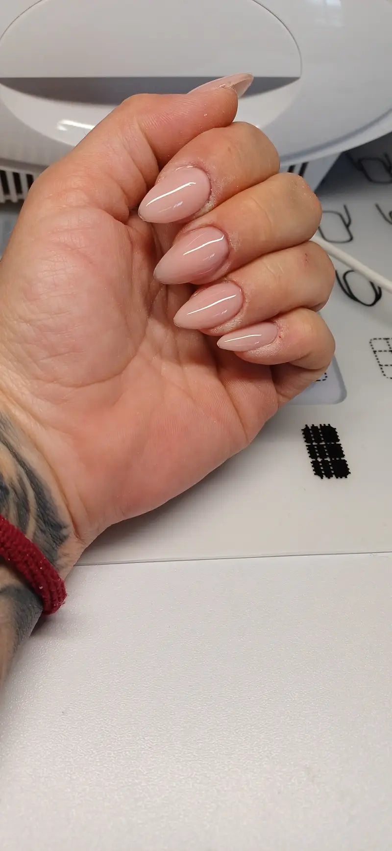 Picture of the review