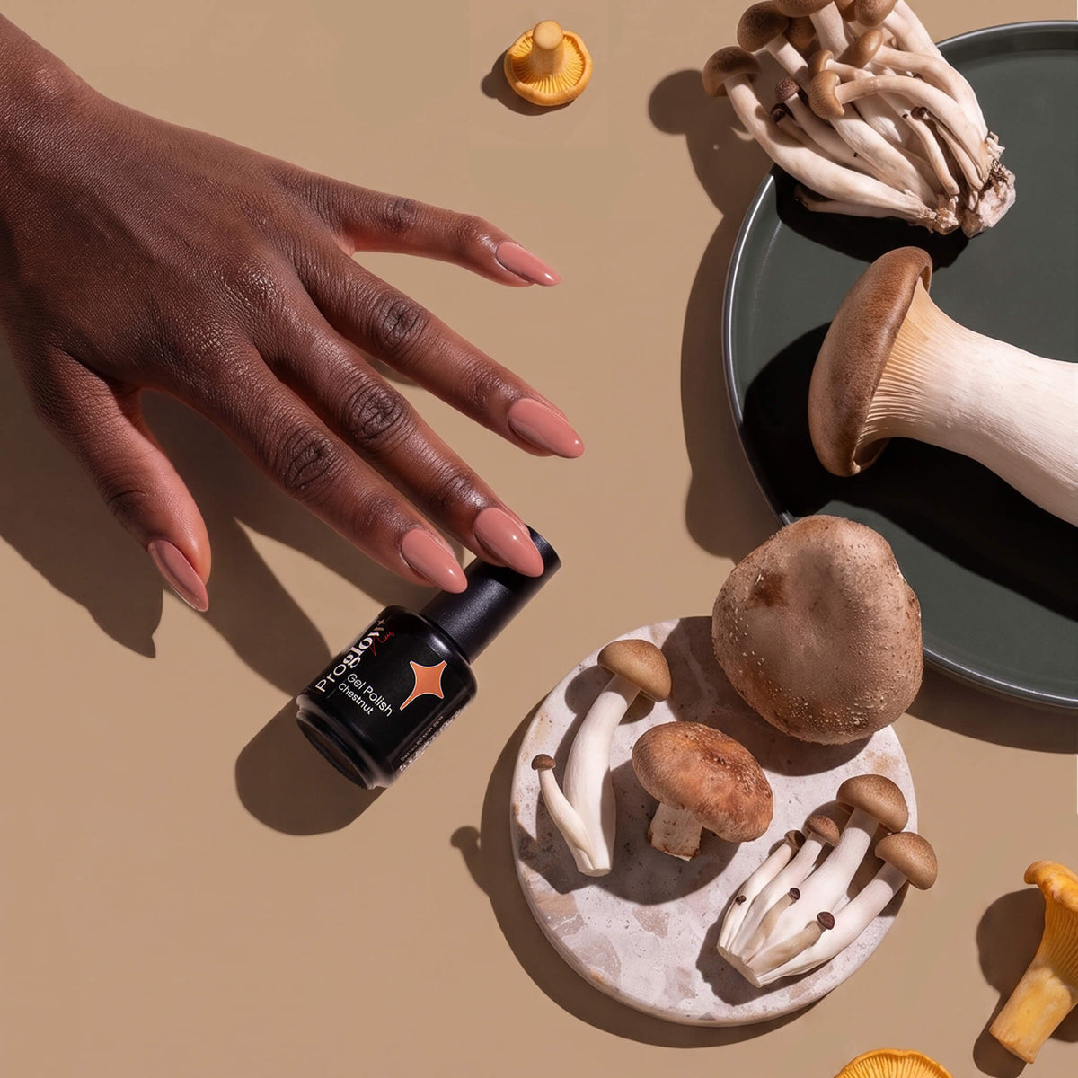 Herbst nagellack farben Braun 2026